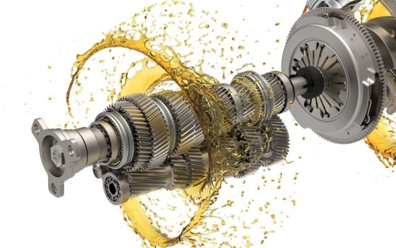 Credits: Florin Patrunjel from iStock