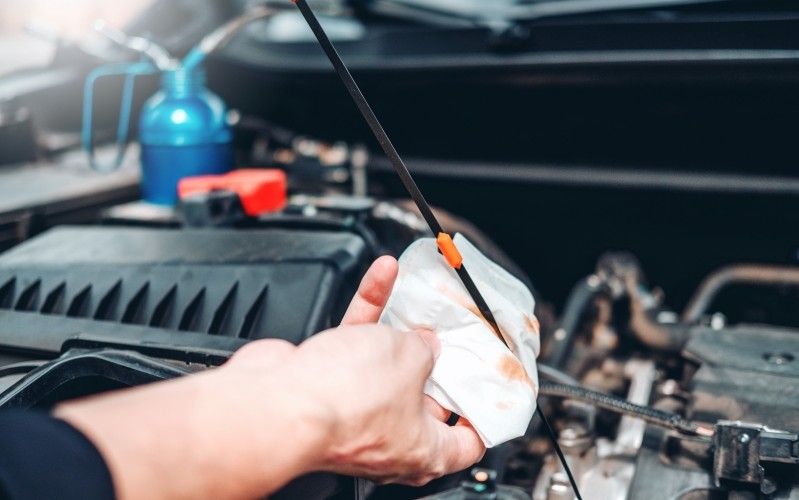 Credits: Sarinyapinngam from iStock